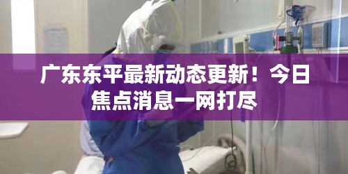 廣東東平最新動態(tài)更新！今日焦點(diǎn)消息一網(wǎng)打盡