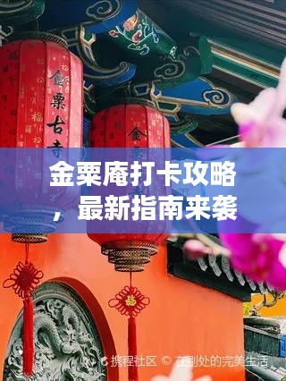 金粟庵打卡攻略，最新指南來襲！