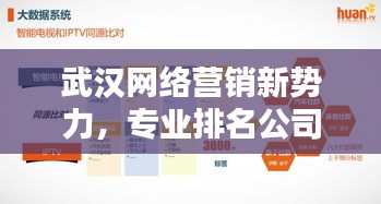 武漢網(wǎng)絡(luò)營銷新勢力，專業(yè)排名公司助力企業(yè)快速騰飛