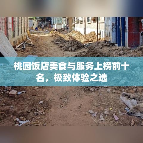 桃園飯店美食與服務(wù)上榜前十名，極致體驗(yàn)之選