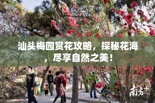 汕頭梅園賞花攻略，探秘花海，盡享自然之美！