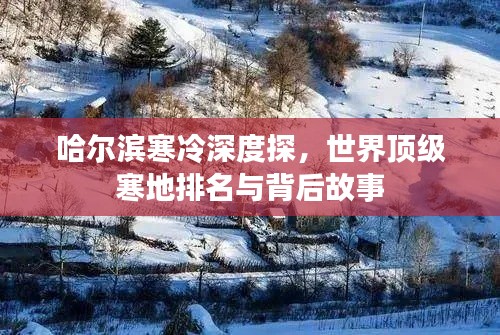哈爾濱寒冷深度探，世界頂級(jí)寒地排名與背后故事