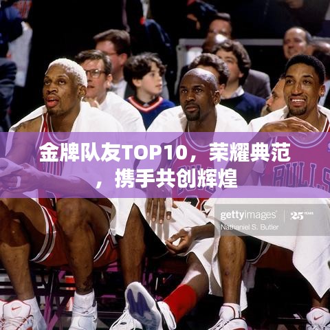 金牌隊(duì)友TOP10，榮耀典范，攜手共創(chuàng)輝煌