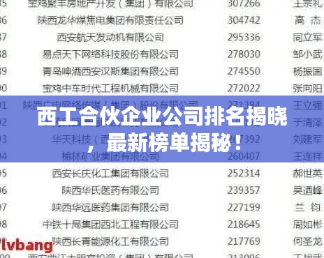 西工合伙企業(yè)公司排名揭曉，最新榜單揭秘！