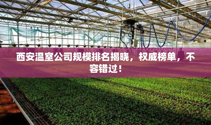 西安溫室公司規(guī)模排名揭曉，權(quán)威榜單，不容錯(cuò)過(guò)！
