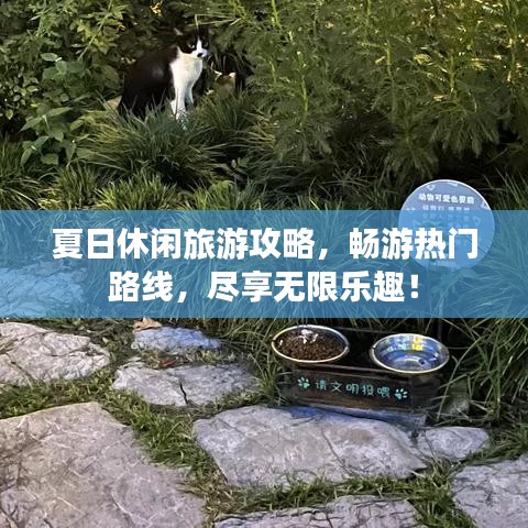 夏日休閑旅游攻略，暢游熱門路線，盡享無限樂趣！