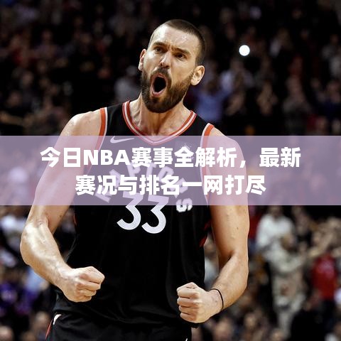 今日NBA賽事全解析，最新賽況與排名一網打盡
