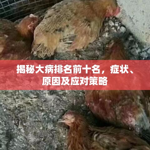 揭秘大病排名前十名，癥狀、原因及應對策略
