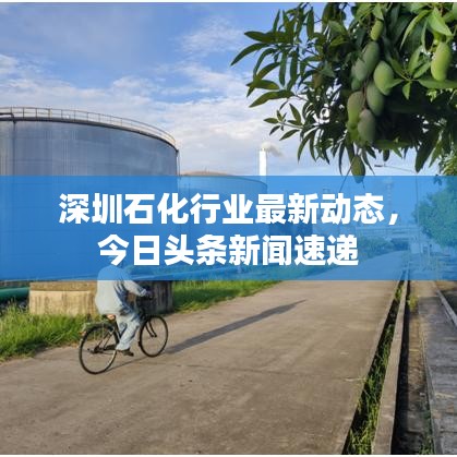 深圳石化行業(yè)最新動態(tài)，今日頭條新聞速遞