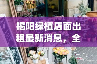揭陽綠植店面出租最新消息，全面更新，一睹即知