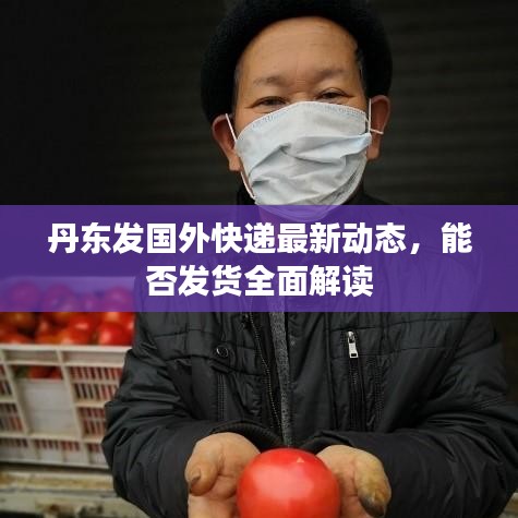 丹東發(fā)國外快遞最新動態(tài)，能否發(fā)貨全面解讀