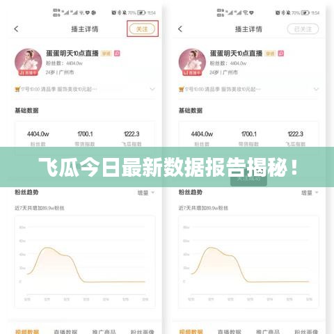 飛瓜今日最新數(shù)據(jù)報(bào)告揭秘！