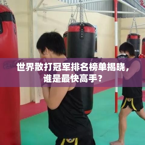 世界散打冠軍排名榜單揭曉，誰是最快高手？