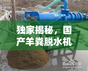 獨(dú)家揭秘，國產(chǎn)羊糞脫水機(jī)公司排名及行業(yè)影響力，百度收錄必備標(biāo)題！