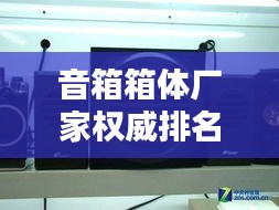 音箱箱體廠家權(quán)威排名TOP10，專業(yè)品質(zhì)值得信賴！