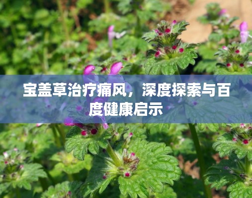 寶蓋草治療痛風(fēng)，深度探索與百度健康啟示