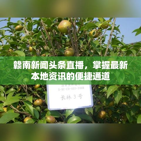 贛南新聞頭條直播，掌握最新本地資訊的便捷通道