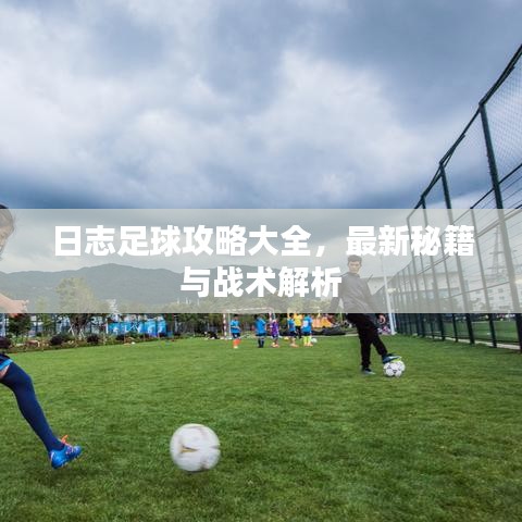 日志足球攻略大全，最新秘籍與戰(zhàn)術(shù)解析