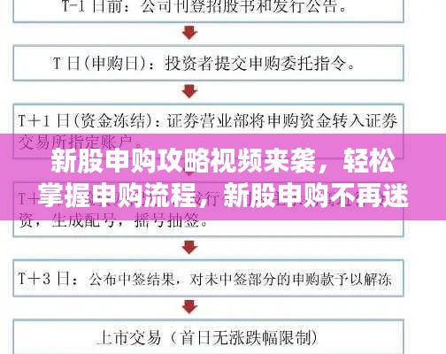 新股申購攻略視頻來襲，輕松掌握申購流程，新股申購不再迷茫