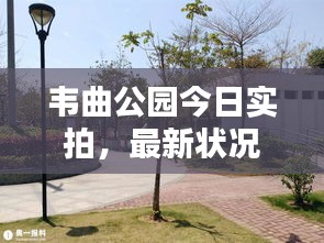 韋曲公園今日實(shí)拍，最新狀況全解析