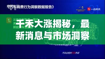 千禾大漲揭秘，最新消息與市場(chǎng)洞察深度解讀