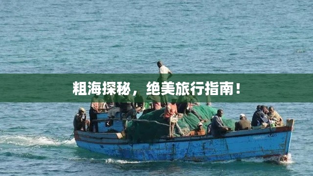粗海探秘，絕美旅行指南！