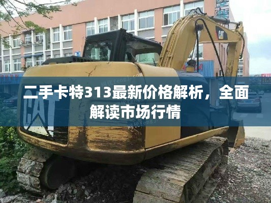二手卡特313最新價格解析，全面解讀市場行情