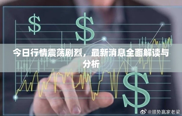 今日行情震蕩劇烈，最新消息全面解讀與分析