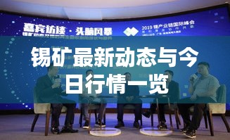 錫礦最新動態(tài)與今日行情一覽