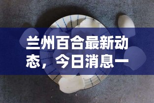 蘭州百合最新動態(tài)，今日消息一網(wǎng)打盡！