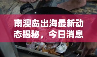 南澳島出海最新動(dòng)態(tài)揭秘，今日消息一網(wǎng)打盡！