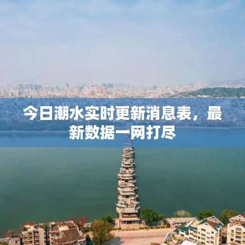 今日潮水實(shí)時(shí)更新消息表，最新數(shù)據(jù)一網(wǎng)打盡