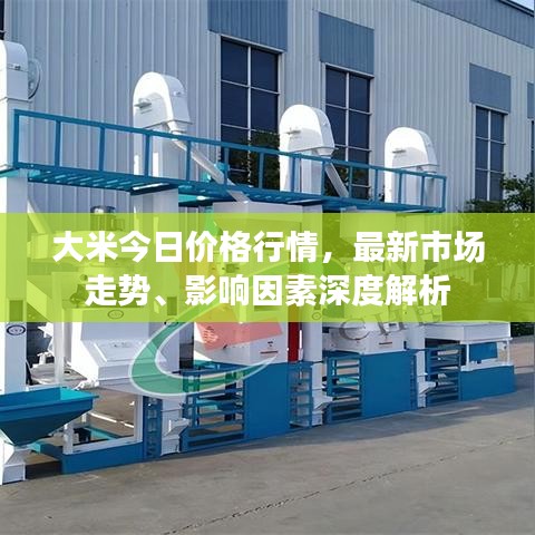 大米今日價(jià)格行情，最新市場(chǎng)走勢(shì)、影響因素深度解析