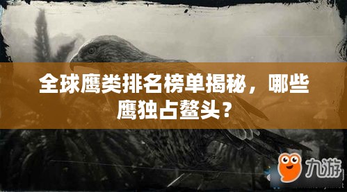 全球鷹類排名榜單揭秘，哪些鷹獨占鰲頭？