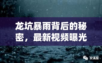 龍坑暴雨背后的秘密，最新視頻曝光，揭示驚人真相！
