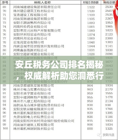 安丘稅務(wù)公司排名揭秘，權(quán)威解析助您洞悉行業(yè)格局