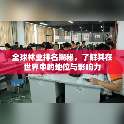 全球林業(yè)排名揭秘，了解其在世界中的地位與影響力