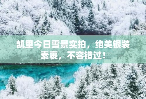 凱里今日雪景實拍，絕美銀裝素裹，不容錯過！