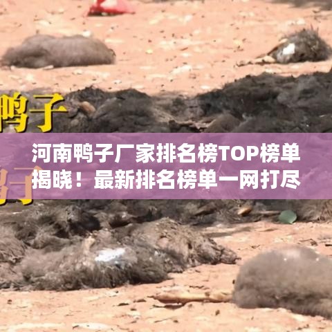 河南鴨子廠家排名榜TOP榜單揭曉！最新排名榜單一網打盡！