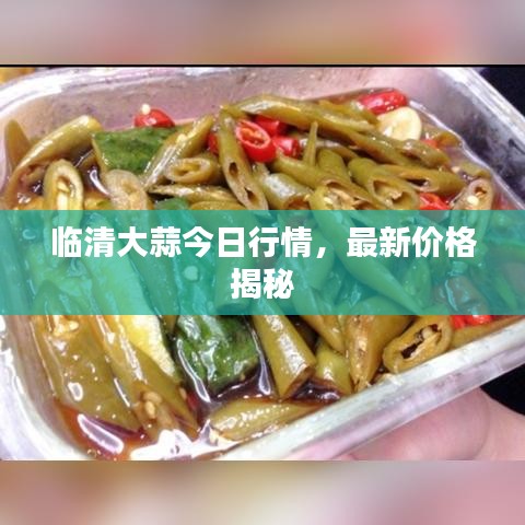 臨清大蒜今日行情，最新價(jià)格揭秘