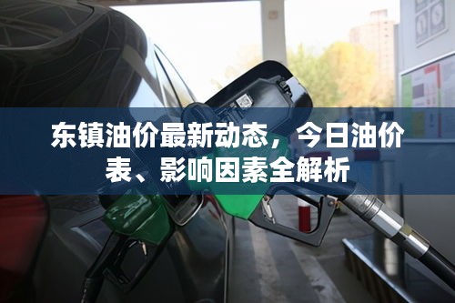 東鎮(zhèn)油價(jià)最新動(dòng)態(tài)，今日油價(jià)表、影響因素全解析