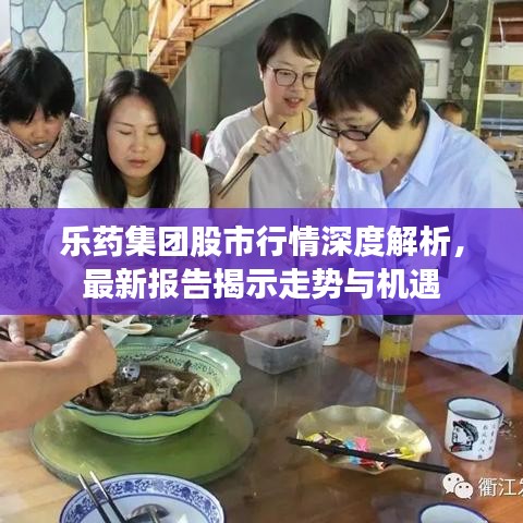 樂藥集團(tuán)股市行情深度解析，最新報(bào)告揭示走勢與機(jī)遇