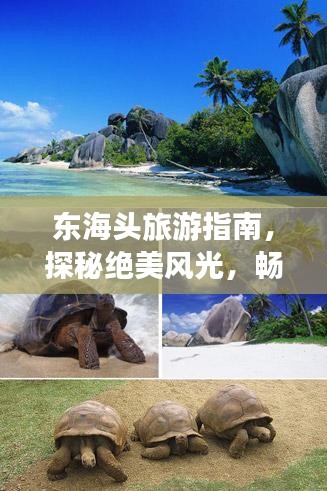 東海頭旅游指南，探秘絕美風(fēng)光，暢游夢幻之旅！