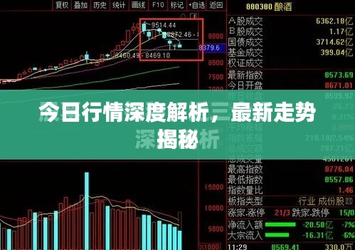 今日行情深度解析，最新走勢揭秘