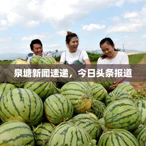 泉塘新聞速遞，今日頭條報(bào)道