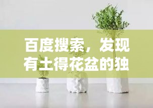 百度搜索，發(fā)現(xiàn)有土得花盆的獨特魅力