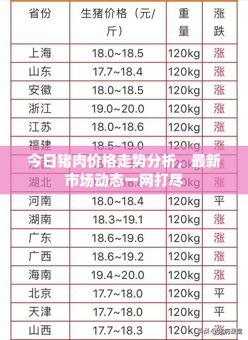 今日豬肉價格走勢分析，最新市場動態(tài)一網(wǎng)打盡