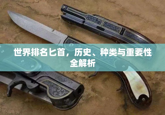 世界排名匕首，歷史、種類與重要性全解析