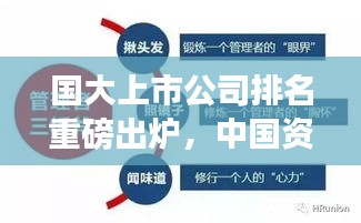 國大上市公司排名重磅出爐，中國資本市場龍頭企業(yè)全景解析