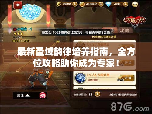 最新圣域韻律培養(yǎng)指南，全方位攻略助你成為專家！